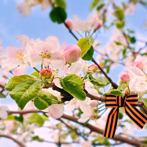 График работы на майские праздники 2025