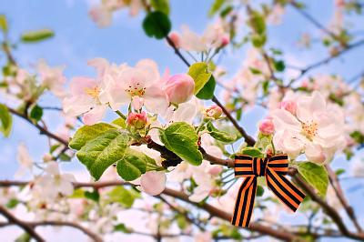 График работы на майские праздники 2025