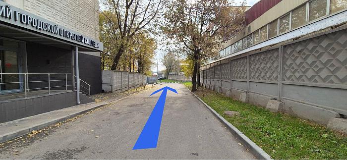 Фотография