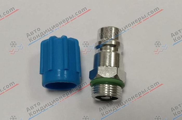 Фотография