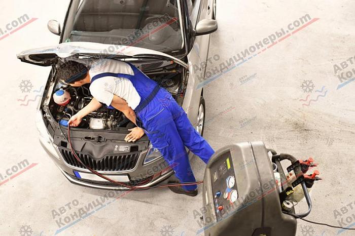 Фотография