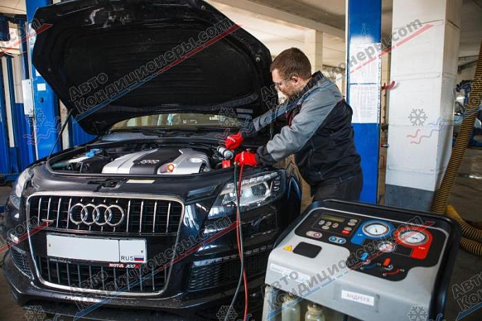 Фотография